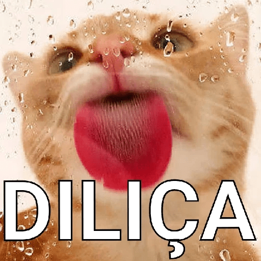 Bichinhos safadjinhos 2 7