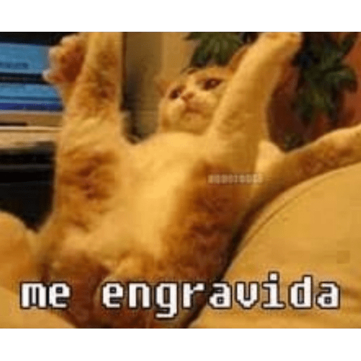 Bichinhos safadjinhos 2 5