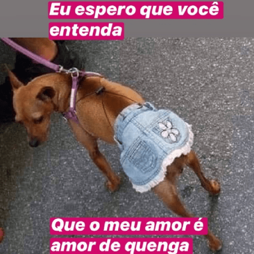 Saliência 3 17