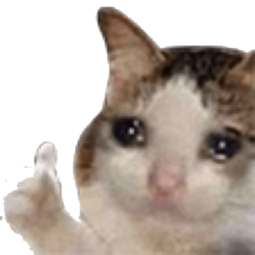 Mishi iii 4