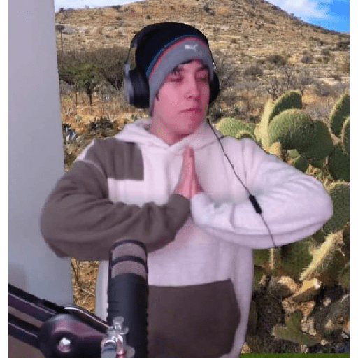 Quackity 4