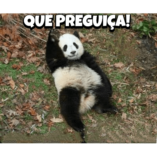 Panda e outros memes 4