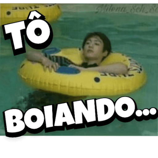 Panda e outros memes 19