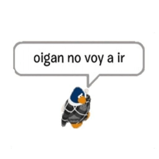 Loca 23