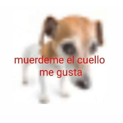 Loca 22
