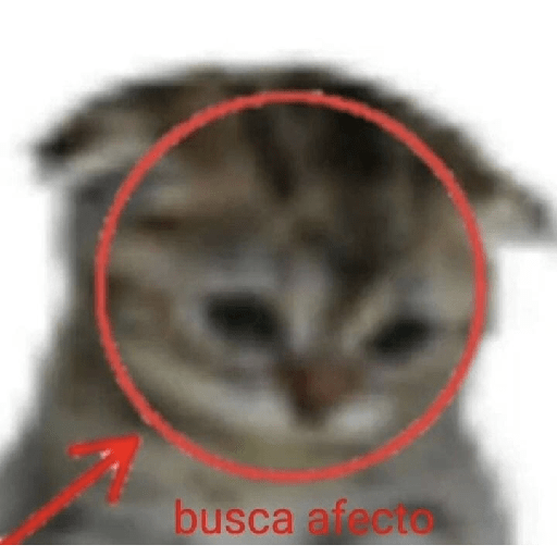 Loca 20