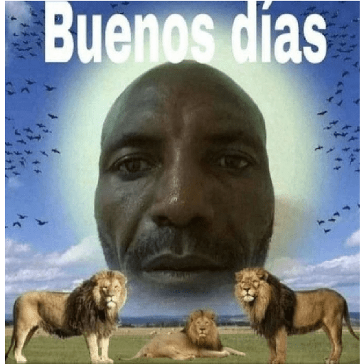 Loca 10