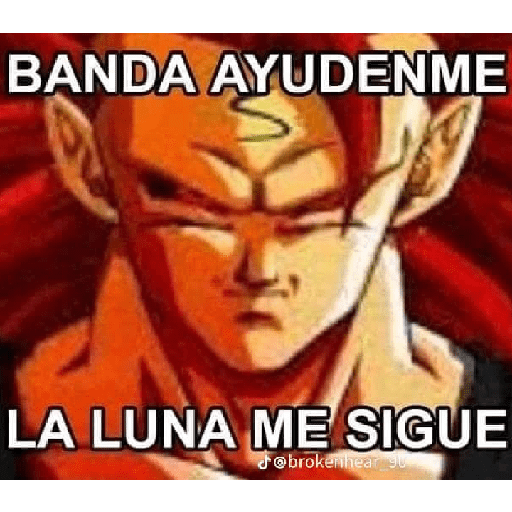 Dragon Ball Random | DarthManu 16