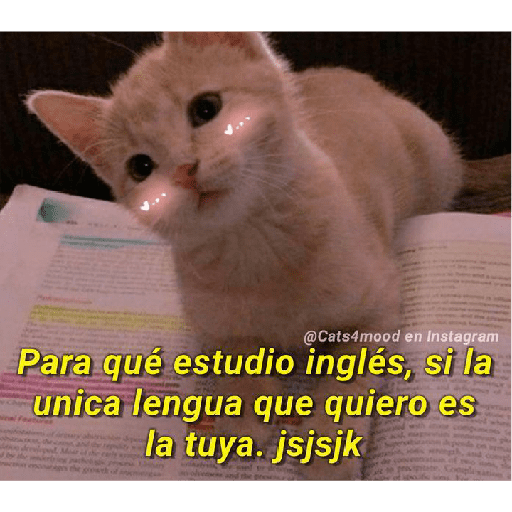 Mis pegatinas