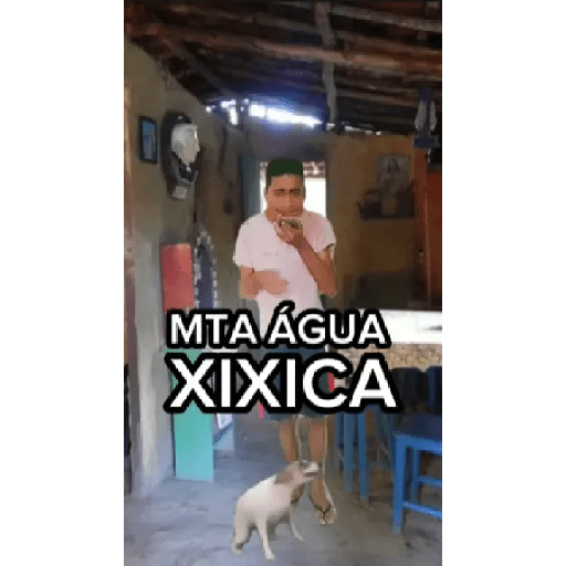 Engraçadas 8