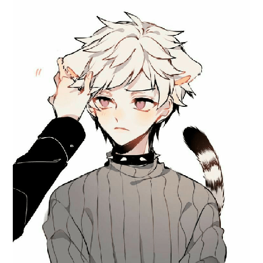 Shin'yu boy 8