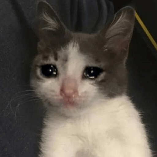 Animal reactions (Gus) 24