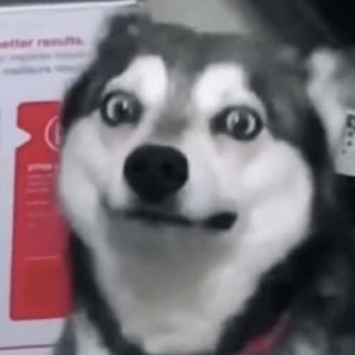 Animal reactions (Gus) 22