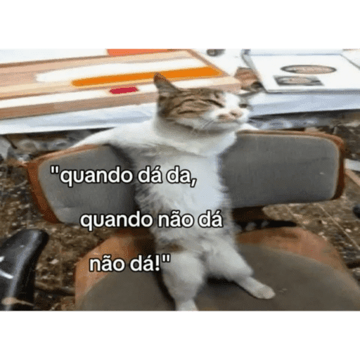 Fig da bibi 11
