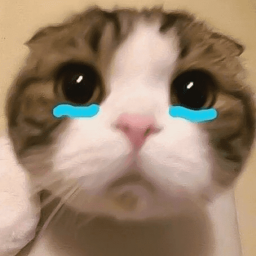 Meme Kucing Imut #5 13