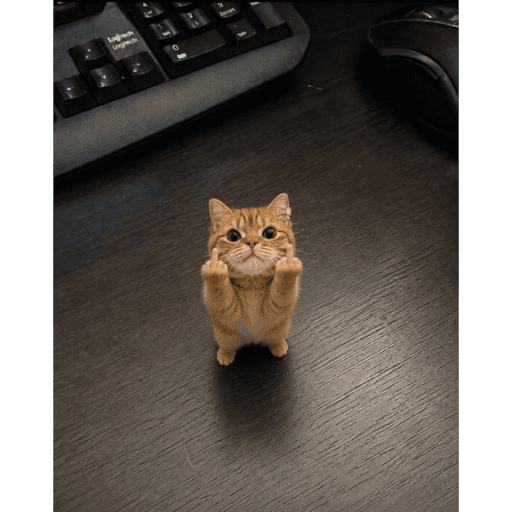 Meme Kucing Imut #5 15