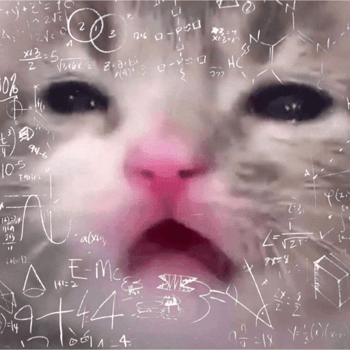 Meme Kucing Imut #5 10