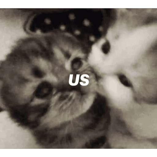 Meme Kucing Imut #5 12