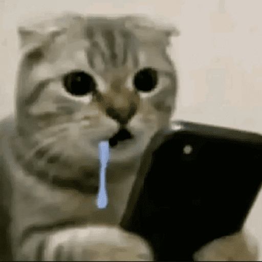 Meme Kucing Imut #5 16