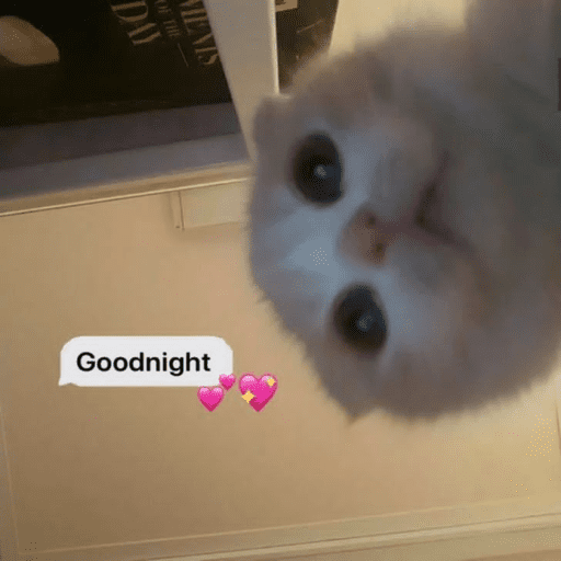 Meme Kucing Imut #5 9