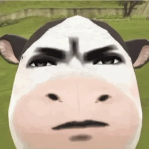 Meme Filter Sapi Tiktok #2 4