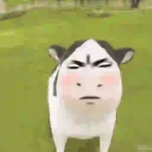 Meme Filter Sapi Tiktok #3 17
