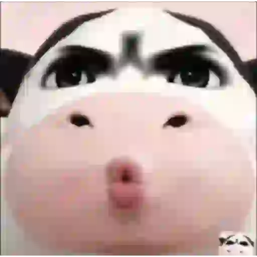Meme Filter Sapi Tiktok #3 1