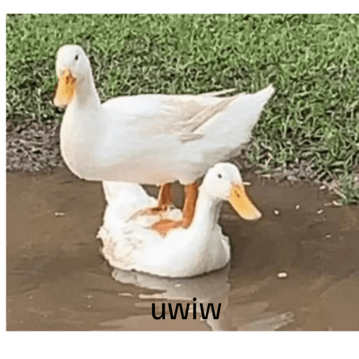 Nyenyenye 2