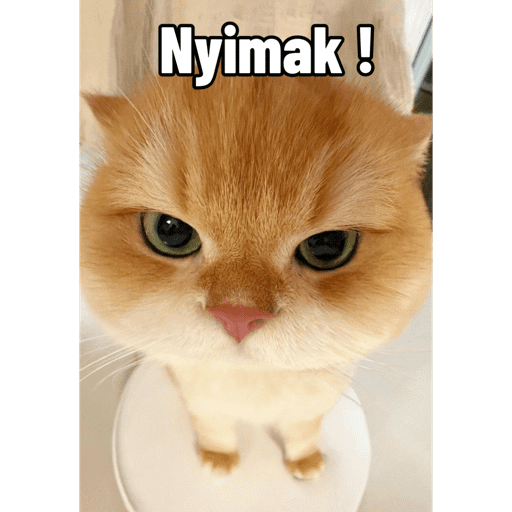Stiker Saya 23