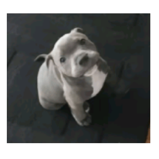 Stickers tik tok  20
