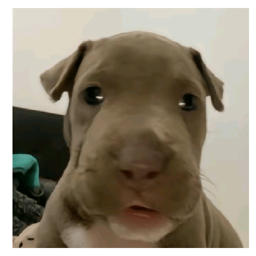 Stickers tik tok  29