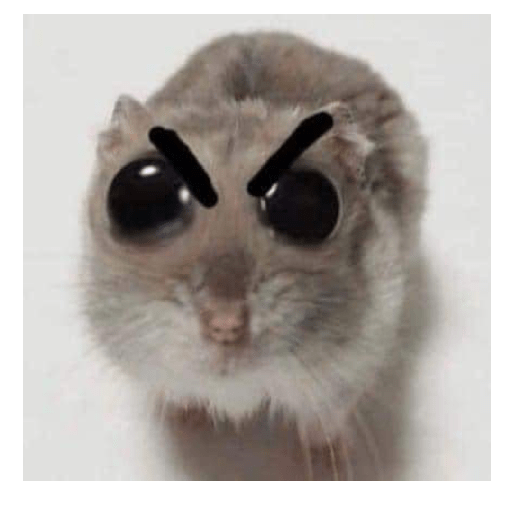Animales  1