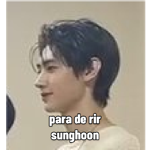 ENHYPEN BRASIL 15