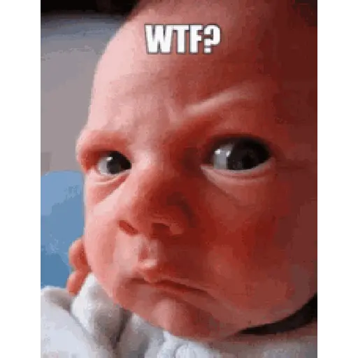 WTF?! 2