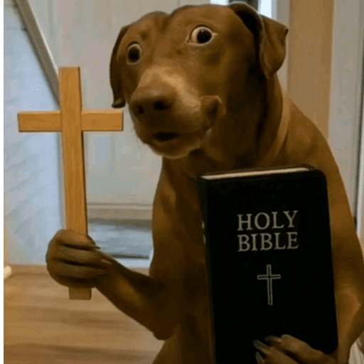 Comentários TikTok 16