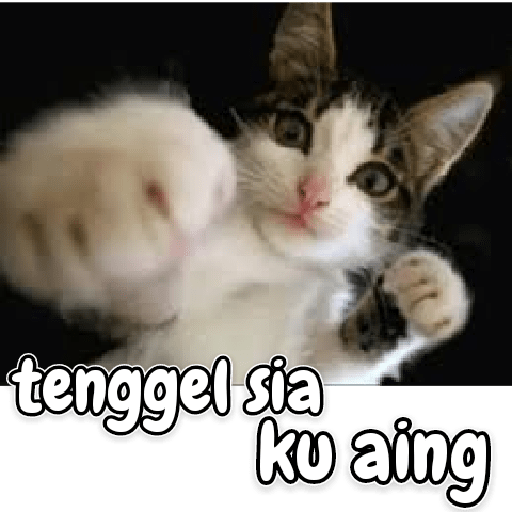 Kucing lucu 2 by 30