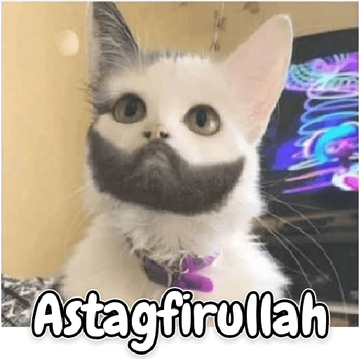 Kucing lucu 2 by 20
