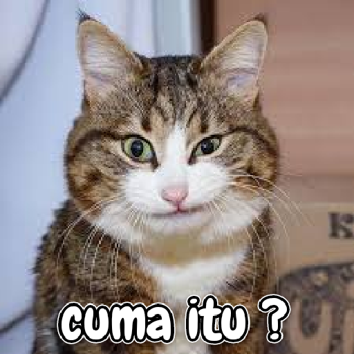 Kucing lucu 2 by 18