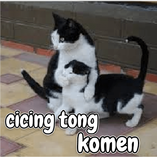 Kucing lucu 2 by 9