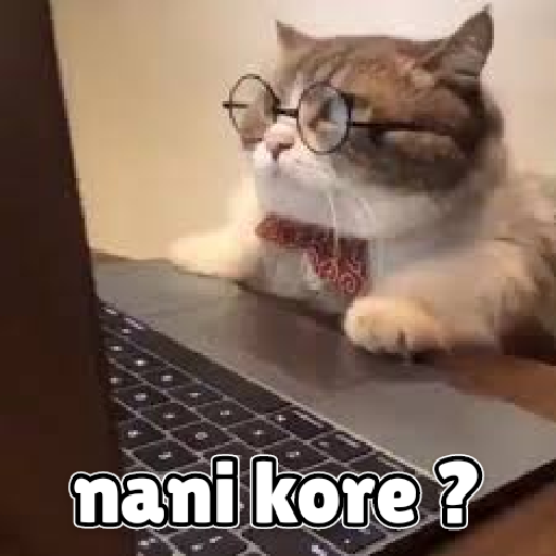 Kucing lucu 2 by 11