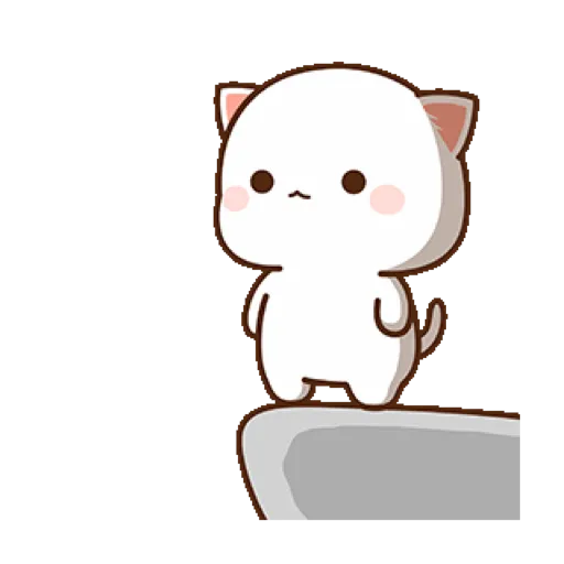 Peach Cat 8 7