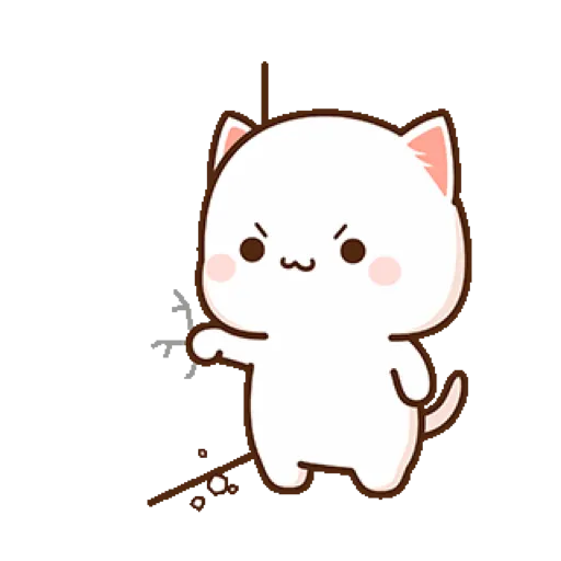 Peach Cat 8 16