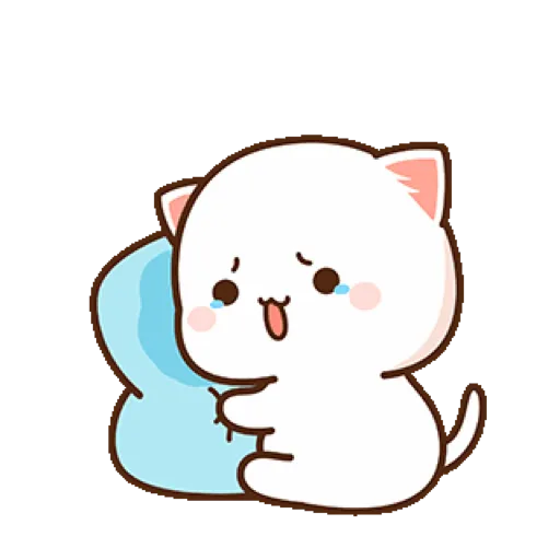 Peach Cat 8 8