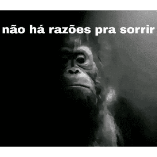 Tome pedrada🤡🔥😀🧐🏳️‍🌈? 24