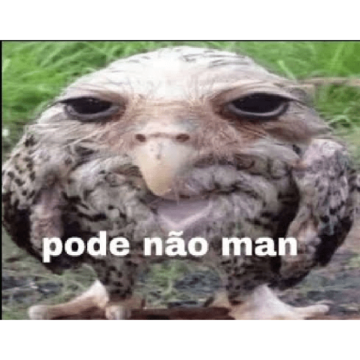 Tome pedrada🤡🔥😀🧐🏳️‍🌈? 4
