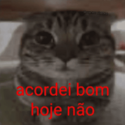 Tome pedrada🤡🔥😀🧐🏳️‍🌈? 17