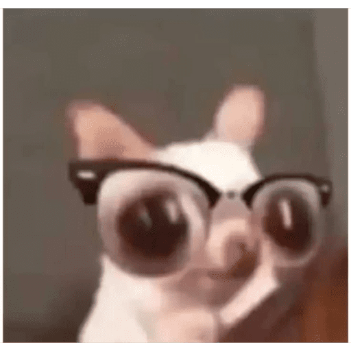 Bichinhos 3 12