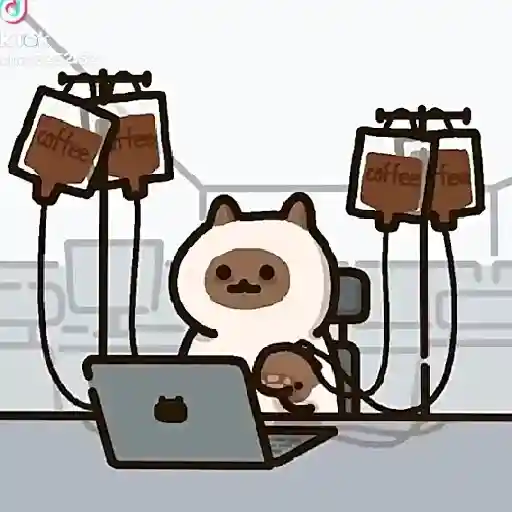 Gifs why not 5