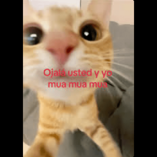 Mis pegatinas 2