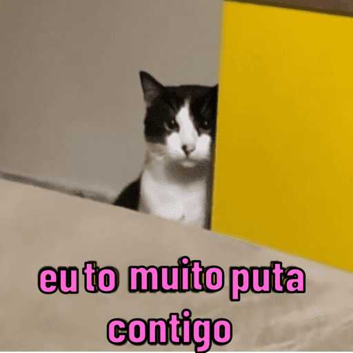 Gatinhos estressados 21